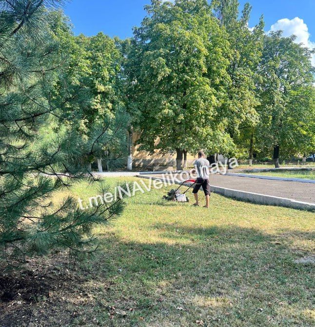 ������� ����������: ������������ ������ �� ������ ����������� � ������ ����� � ���������� ������� ������