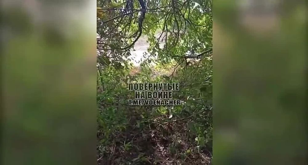 ���������� �����������. ������������ ������� � ������� ���������. ���������� ����� �� ��������� ������� ������ ���������� �� ������������ ������