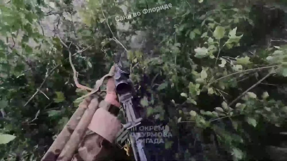 ������ ����������: ������ ��������� �������, �������������� �� ���� ����� � ������� ������ ����� �������� � ��������� ���������� ������ ������, �� ��� ��������� �������