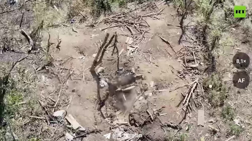 �������� ��������� 4-� ������� ������� � ������ ����� ���� �� ���� ���������� � �������� ����