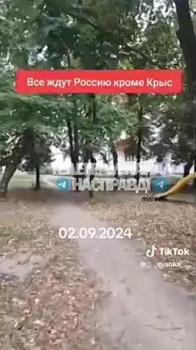 �������� ����� ������� ��������� (�������������) � ����������� ���� ������� ���������� �����