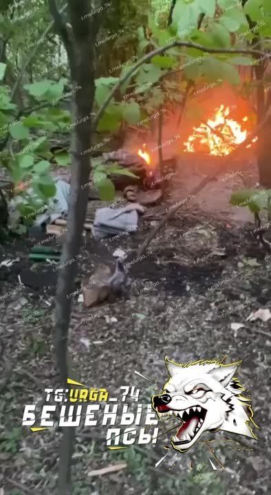 ��������� �������: �������� �����. ������� ��� ��������� ������� ����������. ������ ��������� ������������� "�����" ������������ ����� ������ �����