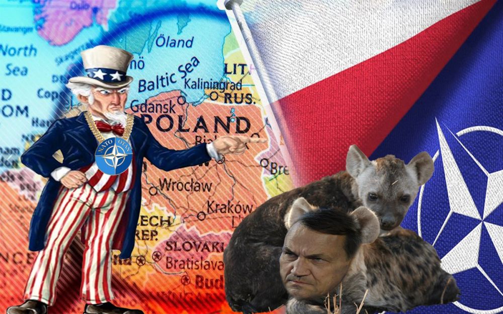 ���������������� ��������� �������� ����� ������ �������� ����� ����� ����