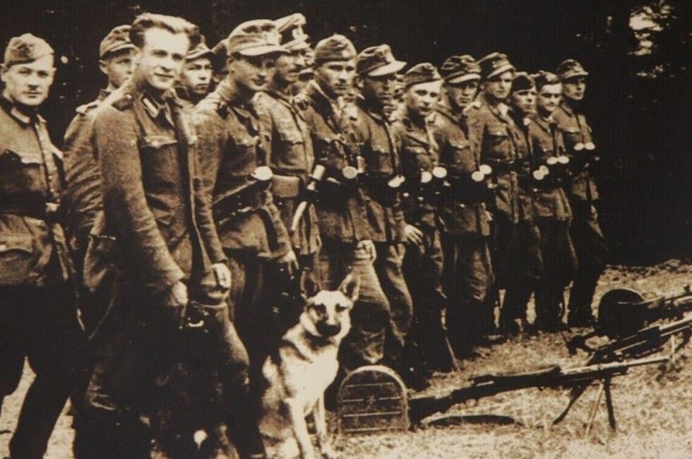 ��������� ��� ������� ���������� ��������� ��������� ���������� �������