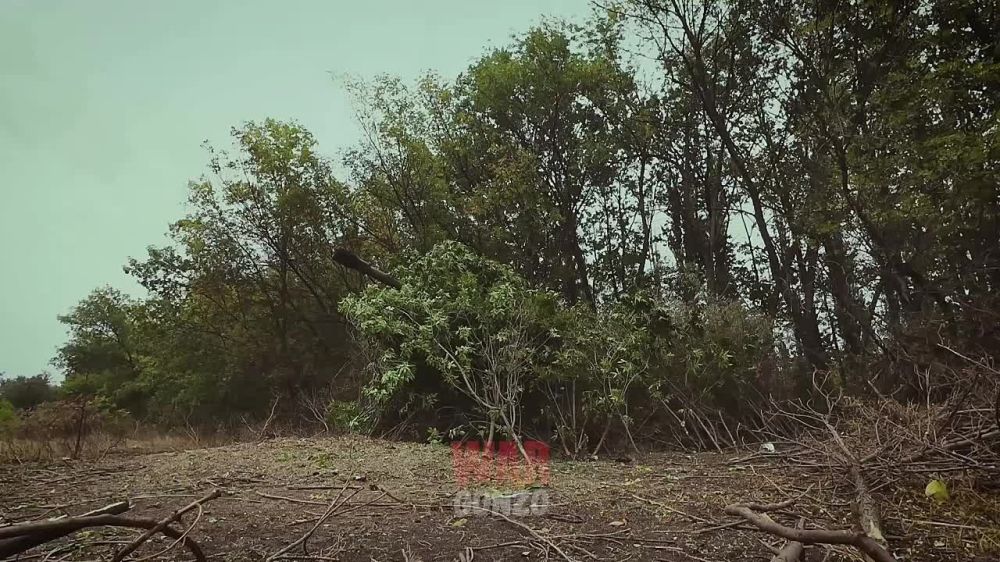 WarGonzo: ��������������� 9-�� �������� ����������� ���������� ��������� � ���
