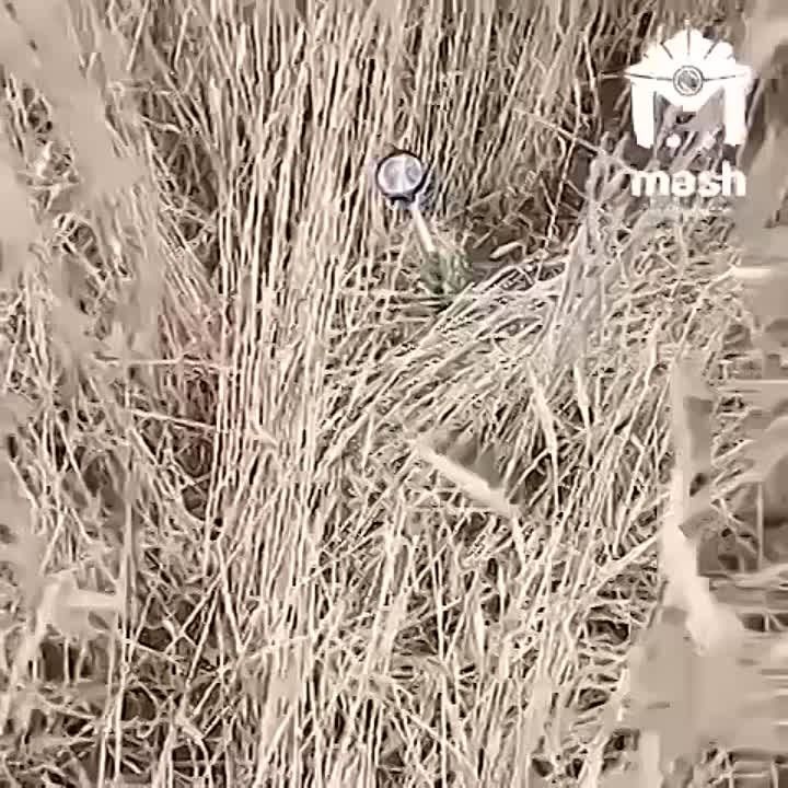 �������� ����� ����� ��� ������� ����� ��� ����������