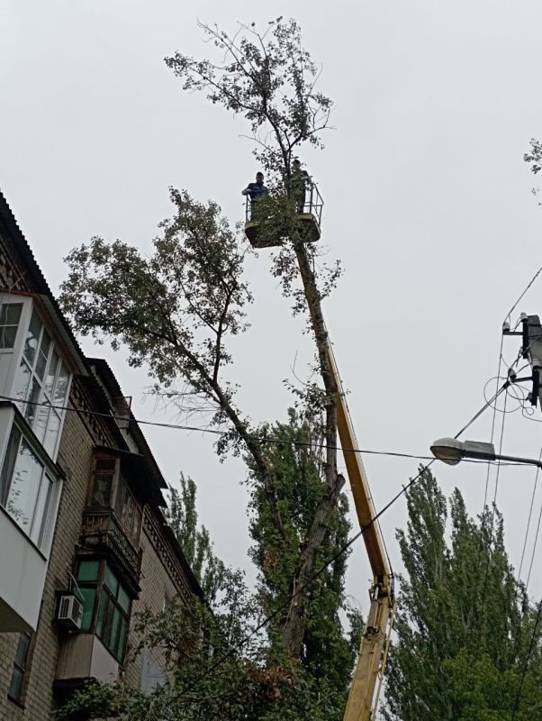 ������� ������: ������� ������ ��� ��� "����������� �������� ������������ ������ �.�������" ��������� ������� �������� �� ���������� ����������� ����� ����� � 31 �� ����� 50-� ����������� ������� � � 77 �� �������� ��������