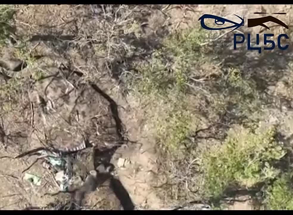 ��� ����������� "���� ������" �������� ���� ����� ������