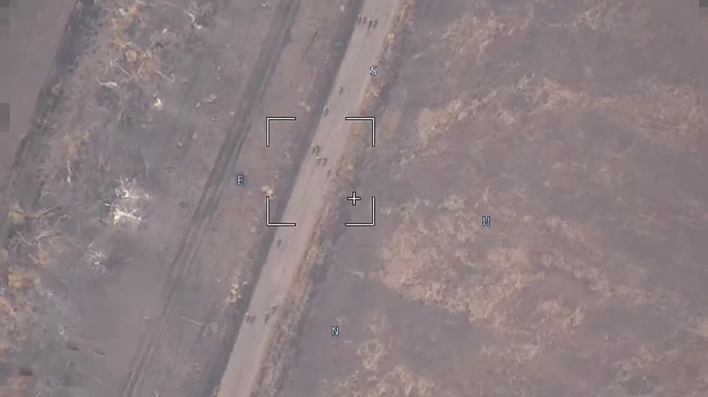 ������� ���������: ��������� ������� ���������� �������� �� ������������ ����������� � ��� ������� ������� ���� 40-� ��������� ������� ������� ������ ����������� ����� �������