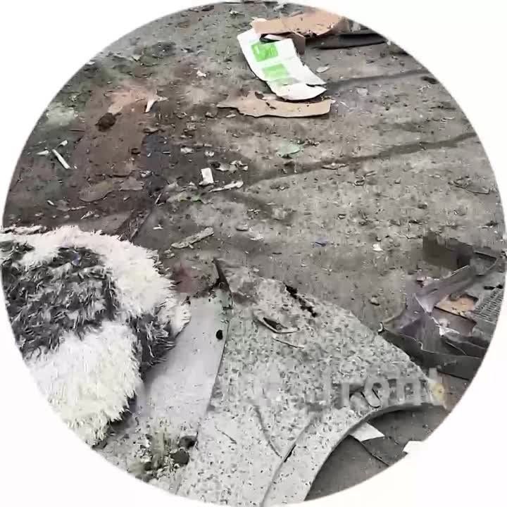 ������, ����� "�����". ���� ������� ������� ���. �� ������ ��������