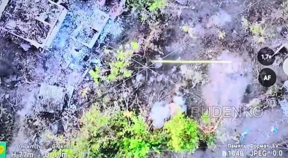 ������ �������: ���������� ������ ����������� ����� ������� ������� ���������� �� �������� �����������