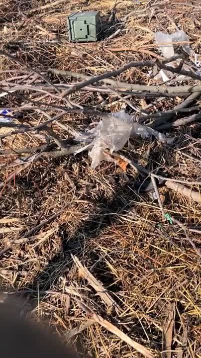 ������ �������: ���� ������������ � ���� �������� �� ����-�������� ����������� ���������� ����������������� M113 ������������� ������������