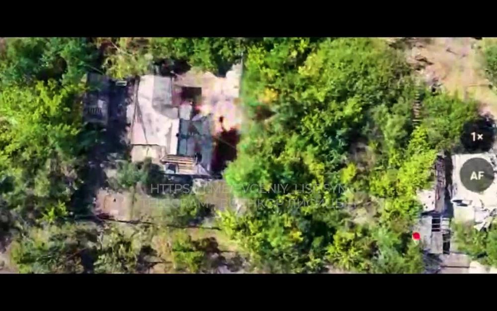 ������� �������: ���� ����� �� ��������� "������" 35-� ��������� ����������� �������������� ������� ����� �������� ������������ �� ���������� �����������