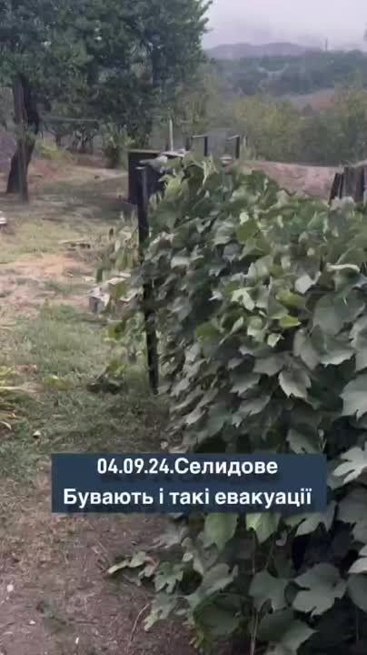 ������ ��������� � ��������