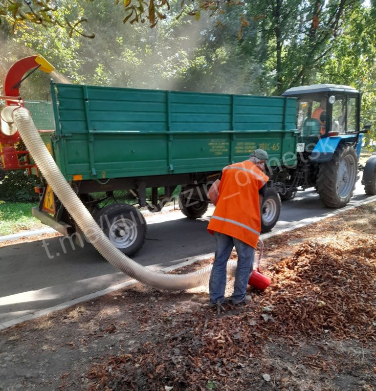 ������� ��������: � ������� �������� ������ ������� �������