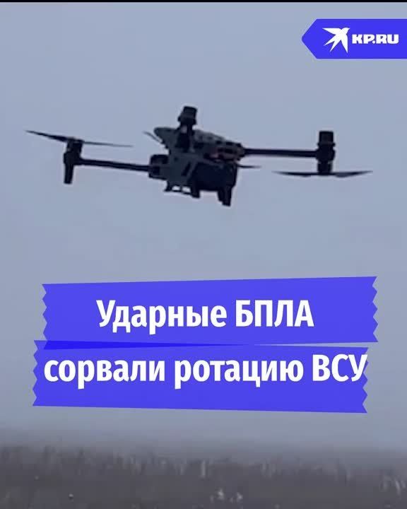 ������� ���� ������ ����������� ����� ������� ������� ��� ��� ��������