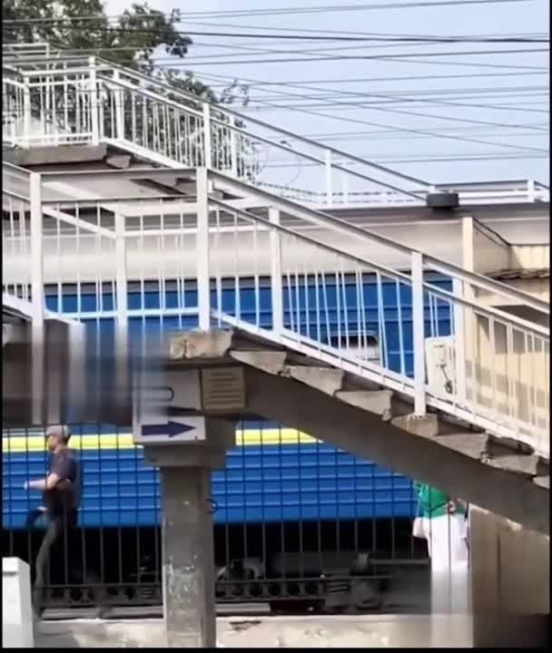 ������� ������ ������� �������� �������� (�������������)