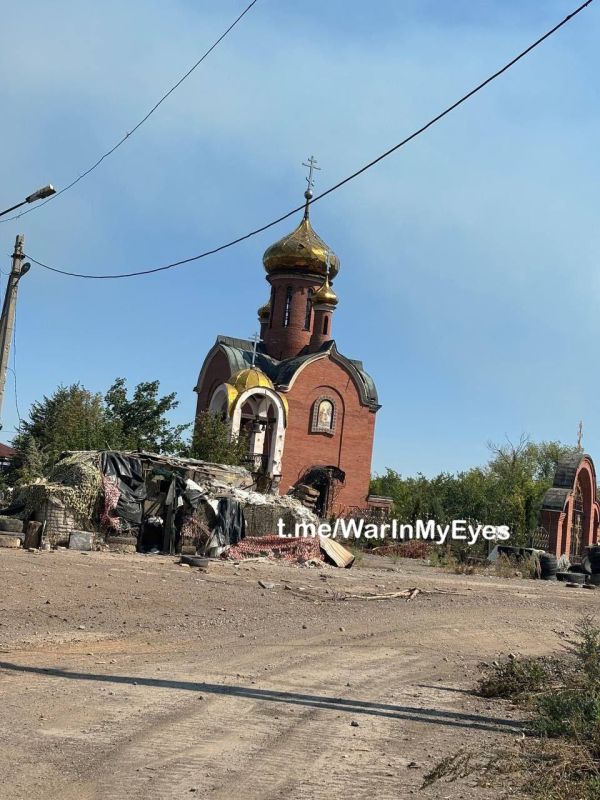 ����� �����: ���, ��������, ���� ���. ������� ��� ���������� �� �� 4 ��������