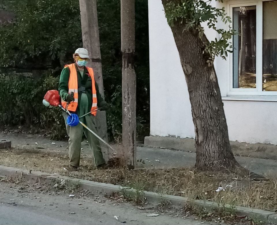 ���� ������: �������� �� �������� � ����������� ���������, ������������ ������ ���������� ��������� ���� ������