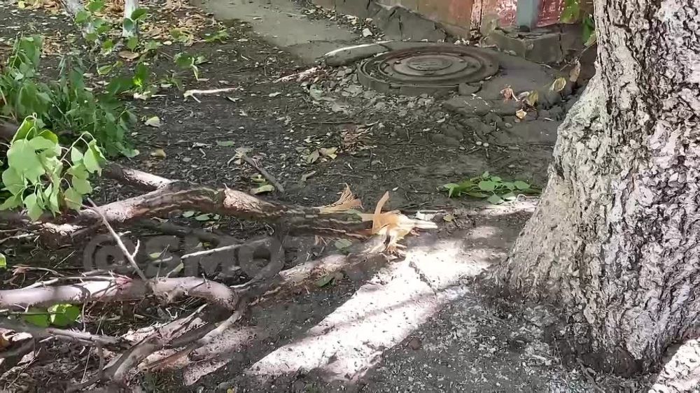 ����� ����������� ������ �������� � ��������, � ���������� �������� ���������� 4 �������� � �������