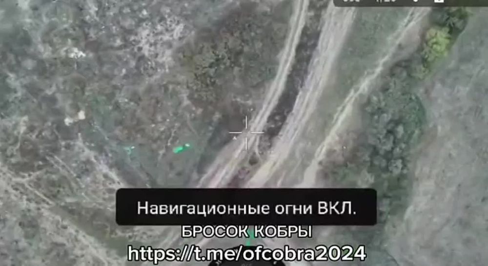 ���������� �����������. ����������� ������� �������� ������� ���, ����������� � ���-4�. @ofcobra2024