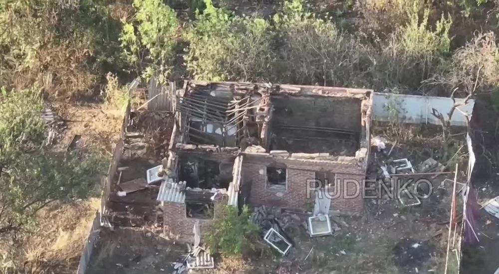 ������ ����������: ���� �� �� ������������� ���� ���������� ��������� � ������� ���� �������� ������� �.�