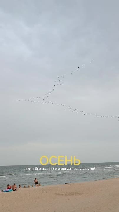 ������ ����, ������ ��� ����� ������ ��� ����� �������� �����