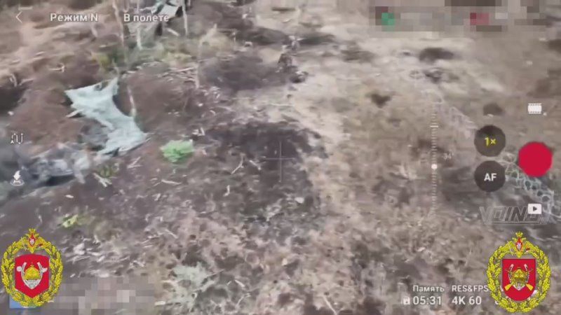 ������� �������: �� ������ - ��� �� �������� �����������