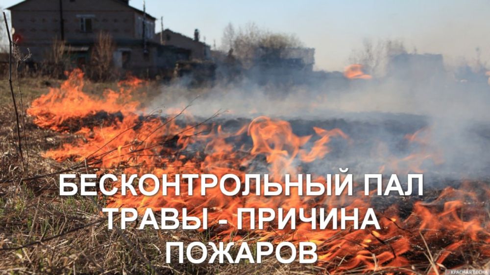 ����� �����: �������������� ��� ����� ����� � ������� �������