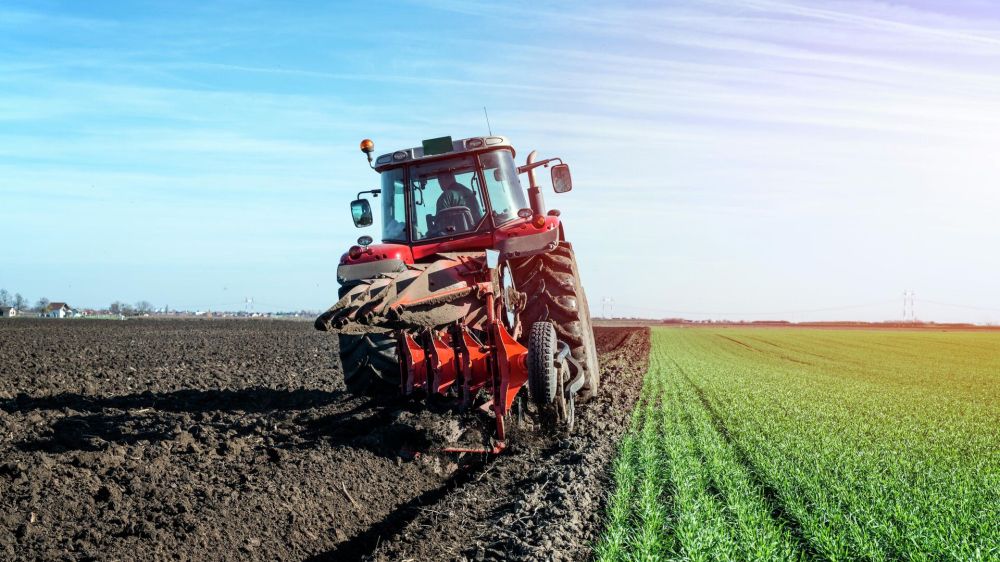 �������� �����: ��� � ��������� ������ ����� � ������