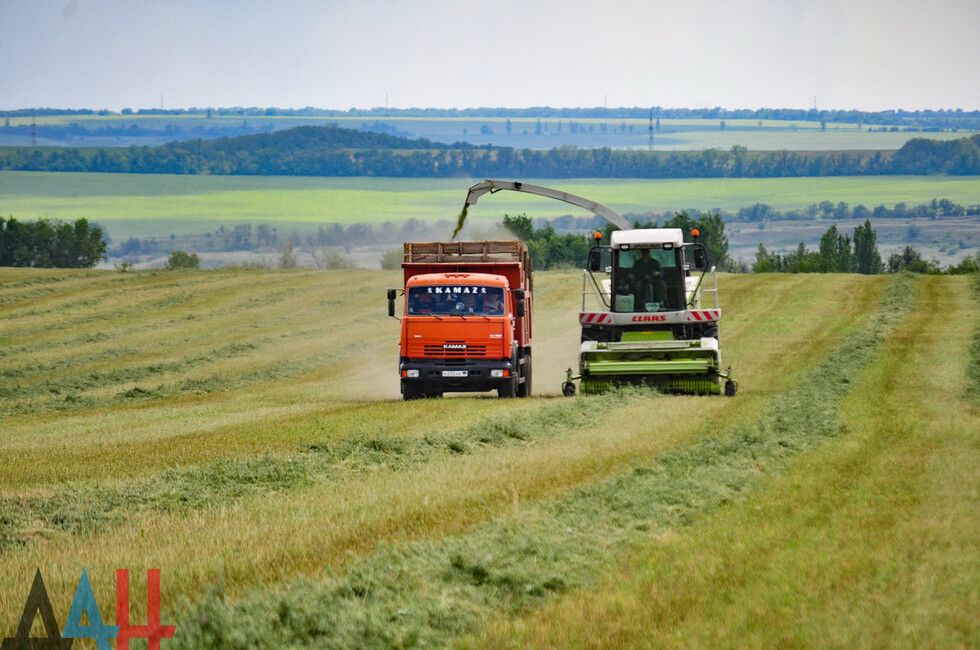 Сенатор назвал самые перспективные сферы для сотрудничества ДНР и Белоруссии