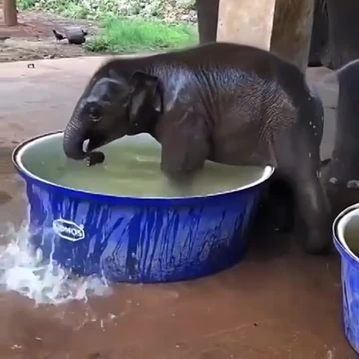 � ������ �����, ���������!