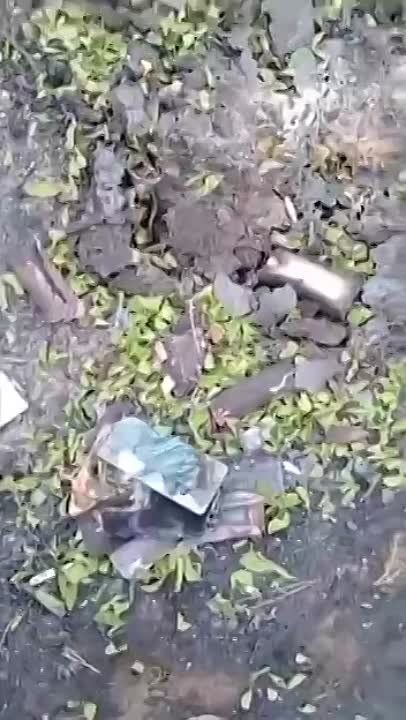 �������� ������� ��������� ���� ������� � ��������
