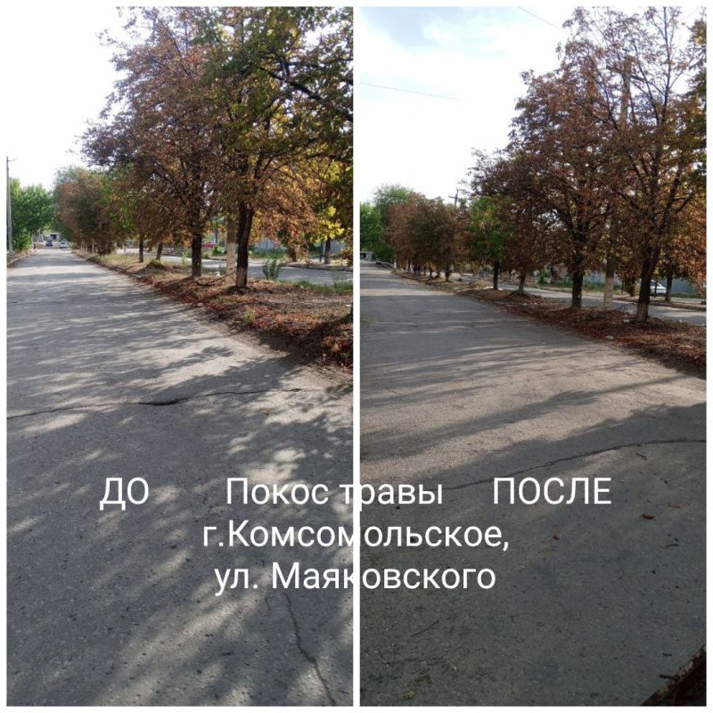 Во исполнение Поручения Главы Донецкой Народной Республики Дениса Владимировича Пушилина, согласно разработанного Графика, произведены работы по покосу сорных и карантинных трав в городе Комсомольское