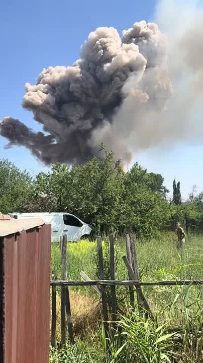 ������ �������: ������ ����. ������ ���� � ���� �� �������� ������ �� ����-�������� �����������