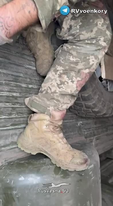 ���� ���� ���� ��: ���� ����� ������� ��� � �������� � ��������� �������� �������