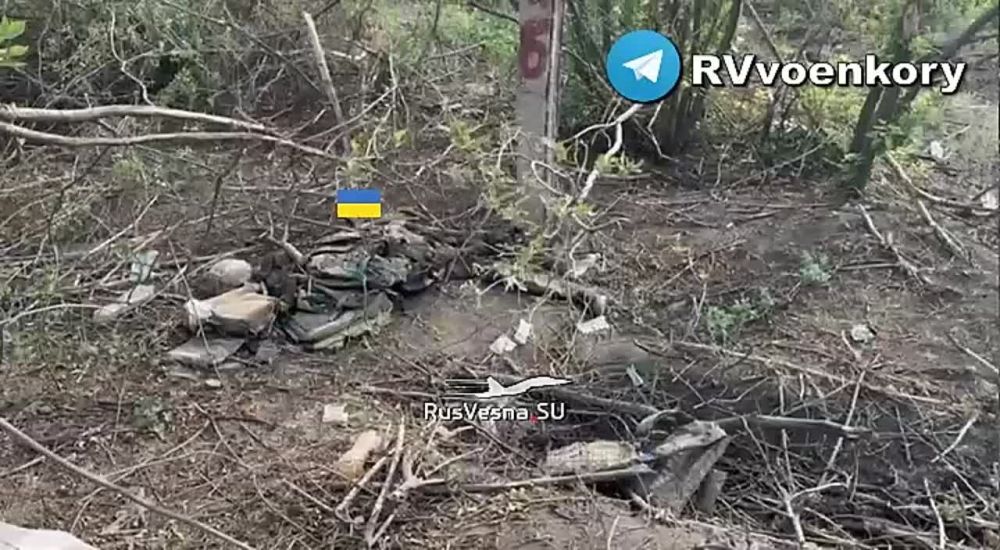 ������ ���� �� �������� ���: ���� ����� �������� ������� ������ ��� ������� �� �����