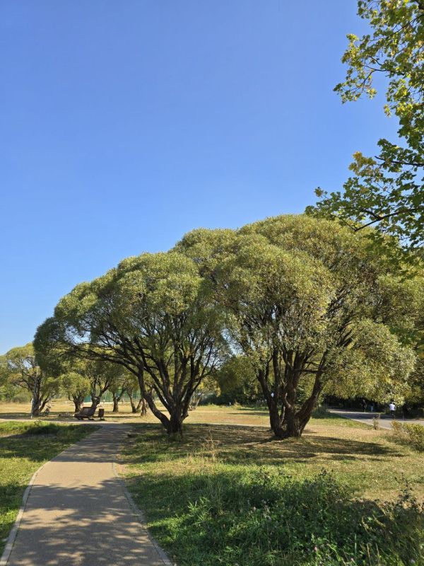 ����� ����������: ��� ���, � ��������� �����, �� ������ 161 ���� � ������, ��������� ����� ����������