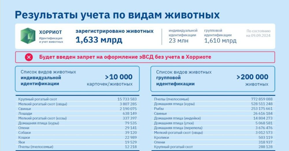 123 ���������������� ������ ������ �� ���������� ��������������� ��� ����� �������� � ���������