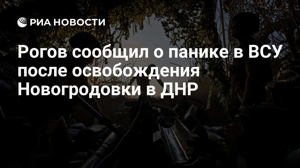 Владимир Рогов: О панике бандеровцев после освобождения Новогродовки