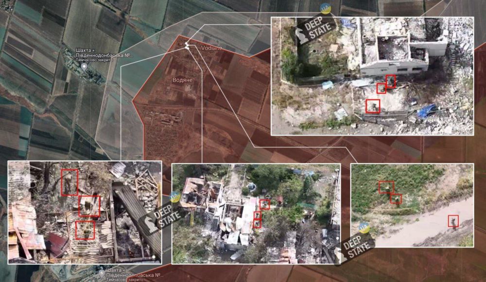 ���� ��������: ������ ���������� ���������� �� ����������� �����������