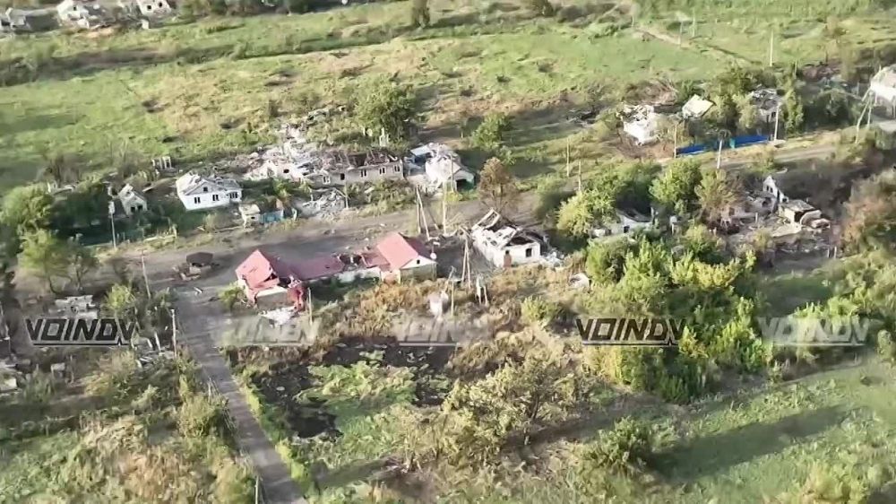 ������ �������: ��������� ����� �� � � � ������� �� ����������� �����������