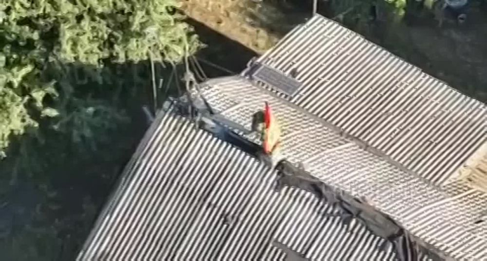 ���������� ������� ���������� ���������� ���������� ����� ������� �� ���������� �����������