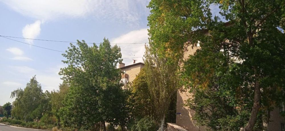 ������� ����������: ������������ ������� ������������ ������������� � ������������� ������