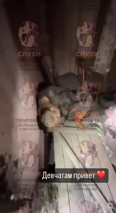 � ��� ���� �� �������� �������� ��� ����� ����������� ������� ������� �� ����������� ��������