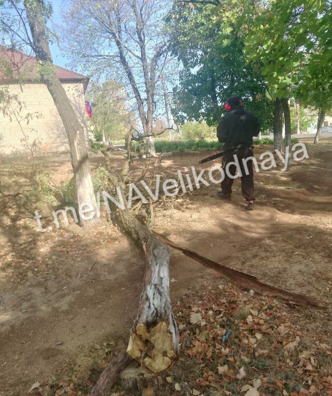 ������� ����������: � ���� ��������� ����������� ������ �� ����� ����� ����� ��������