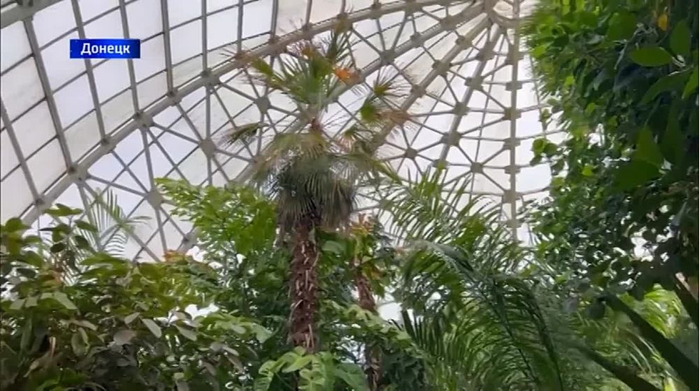 Авмросиевскую детскую-юношескую спортивную школу восстановят, благодаря помощи Александра Волошина!