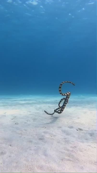������� ����, ��� ���������� ������� ����