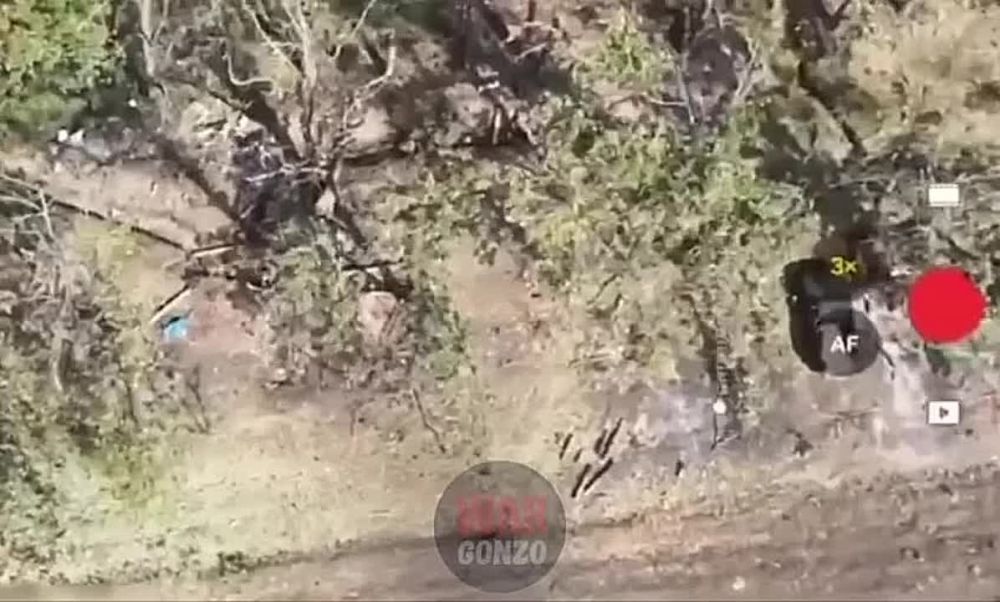 WarGonzo: �������� ��� ����� ���� ��������� ���������� �� �����������