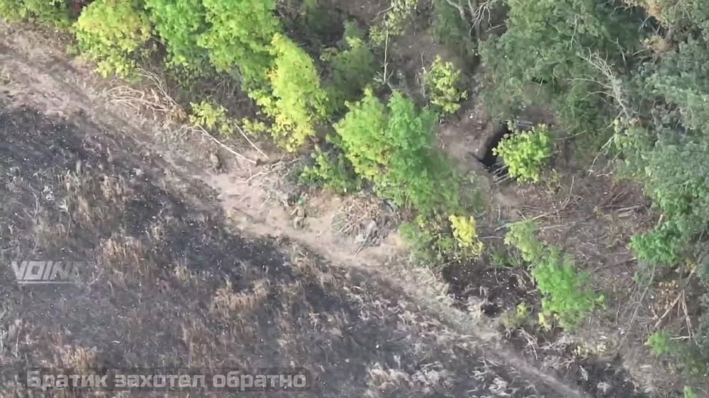 ���� �������: �������� ������ ����������� 29-� ����� �� �� �� ������������ �� ����������� �����������